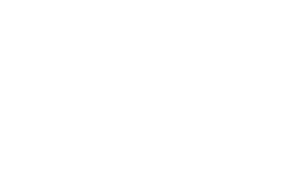 СТН-АВТО